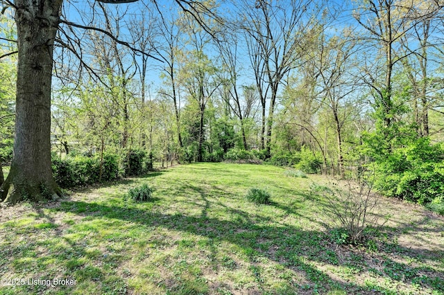 702 W Woodlawn Ave, Louisville, KY 40215 - photo 27