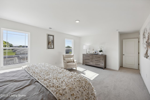 1520 Robin Rd, Shelbyville, KY 40065 - view of carpeted bedroom