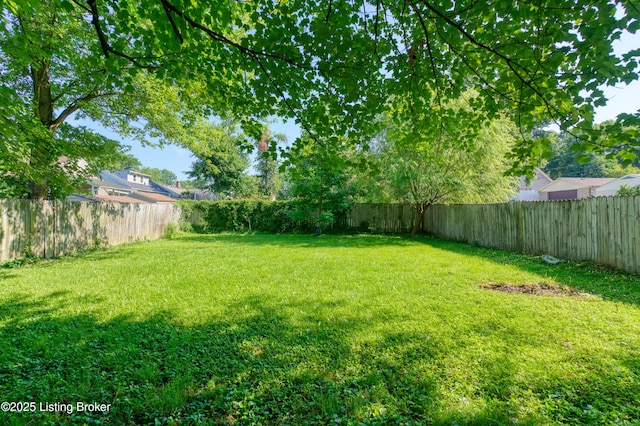 809 Bluegrass Ave, Louisville, KY 40215 - photo 45