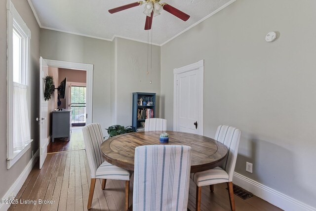 1205 Rammers Ave, Louisville, KY 40204 - photo 11