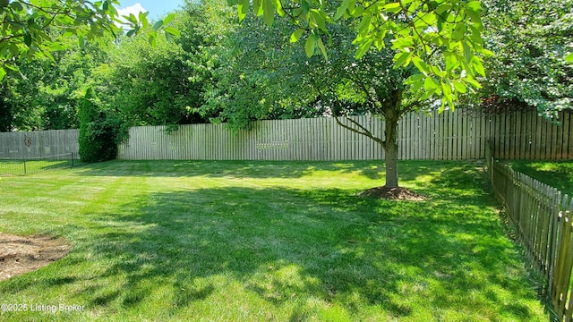 4318 Juniper Forest Pl, Louisville, KY 40245 - view of fenced backyard