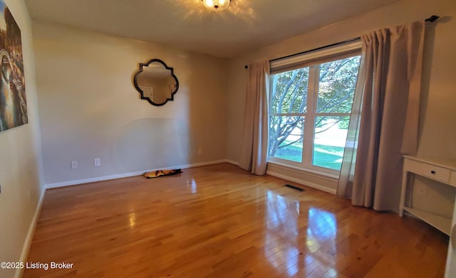 4318 Juniper Forest Pl, Louisville, KY 40245 - spare room with light wood-style flooring