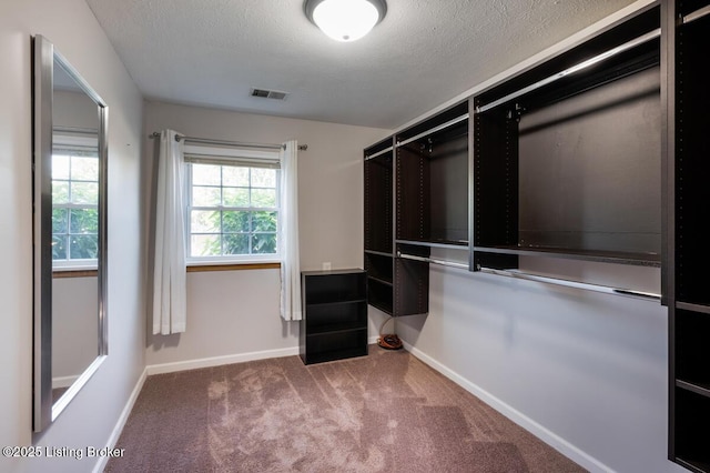 5301 Sloane Ct, Louisville, KY 40291 - photo 31
