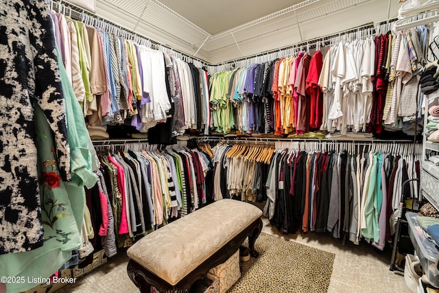 15018 Forest Oaks Dr, Louisville, KY 40245 - view of spacious closet