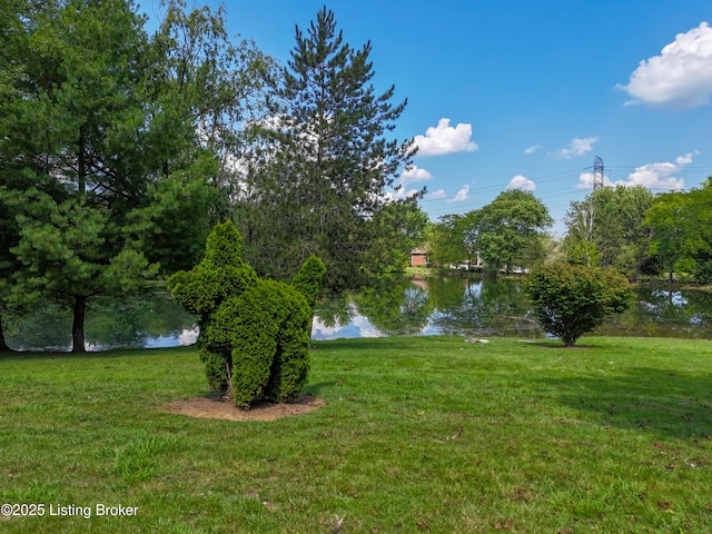 5319 High Crest Dr, Crestwood, KY 40014 - photo 65