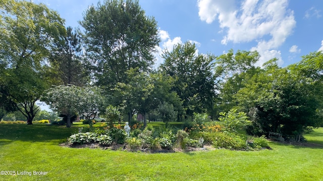 5319 High Crest Dr, Crestwood, KY 40014 - photo 62