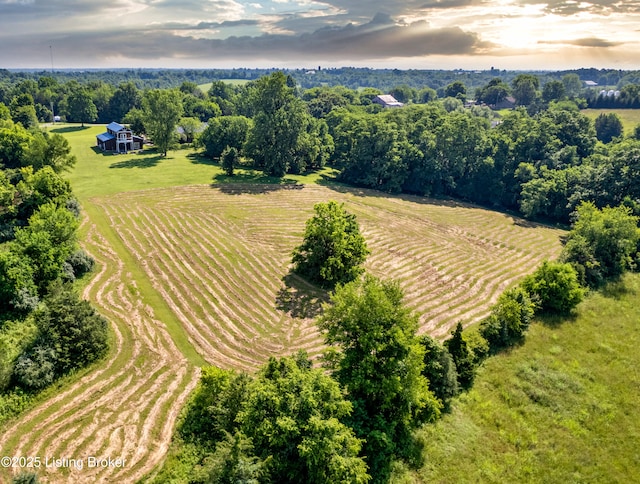 277 Hunters Ln, Simpsonville, KY 40067 - photo 6