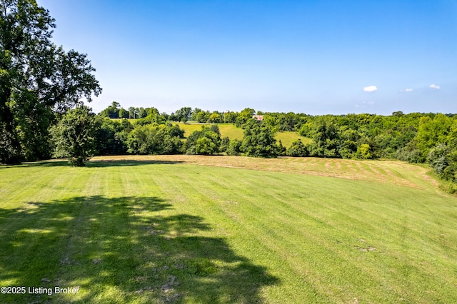 277 Hunters Ln, Simpsonville, KY 40067 - photo 61