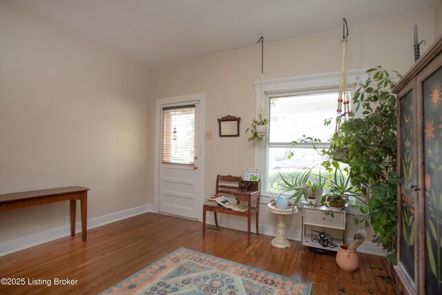 1133 Samuel St, Louisville, KY 40204 - photo 4