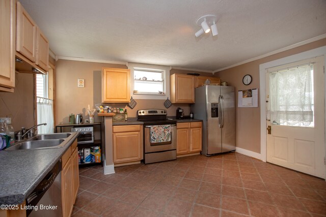 1133 Samuel St, Louisville, KY 40204 - photo 13