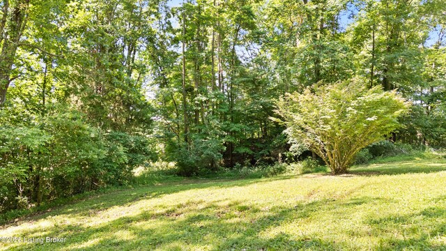 6937 Hammonsville Rd, Bonnieville, KY 42713 - photo 26