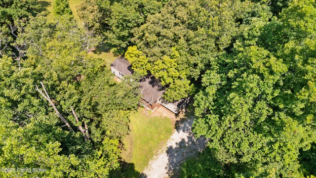 6937 Hammonsville Rd, Bonnieville, KY 42713 - photo 28