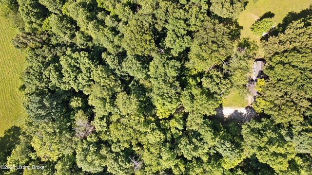 6937 Hammonsville Rd, Bonnieville, KY 42713 - photo 29