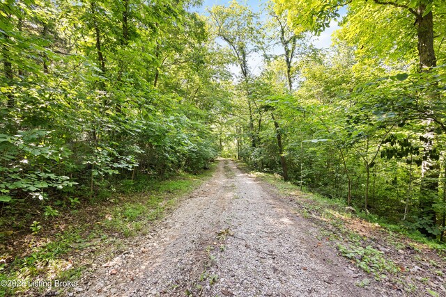 6937 Hammonsville Rd, Bonnieville, KY 42713 - photo 27