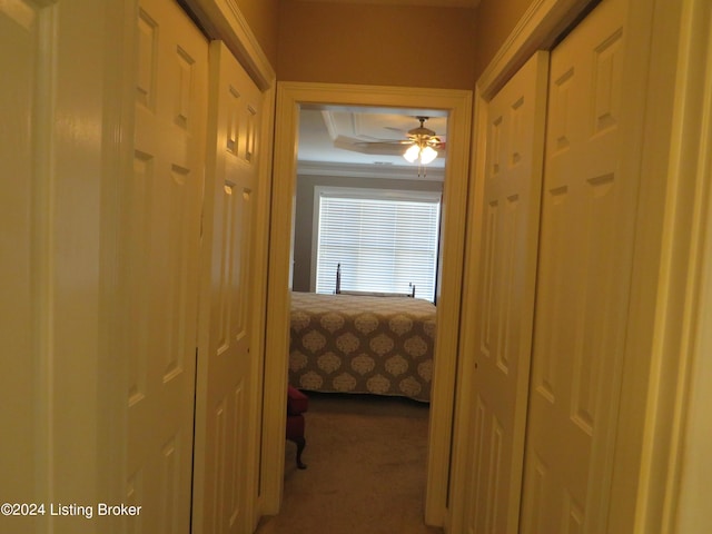 105 Waverly Dr, Bardstown, KY 40004 - hallway featuring carpet floors and crown molding
