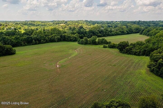 1341 Nevins Station Rd, Lawrenceburg, KY 40342