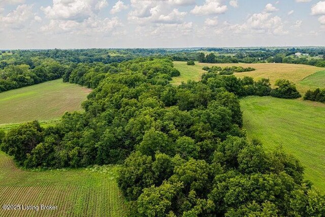 1341 Nevins Station Rd, Lawrenceburg, KY 40342
