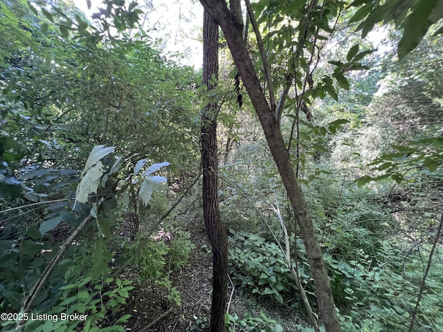 201A Trailwood Lk, Shelbyville, KY 40003