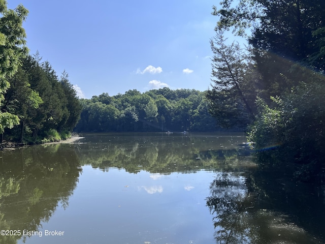 201A Trailwood Lk, Shelbyville, KY 40003 - photo 8