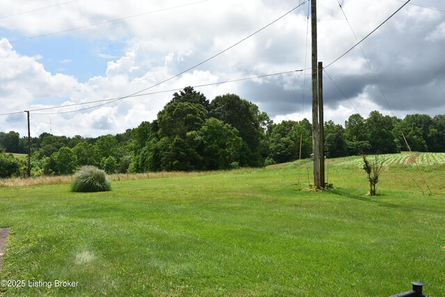 2805 Columbia Rd, Edmonton, KY 42129 - photo 8