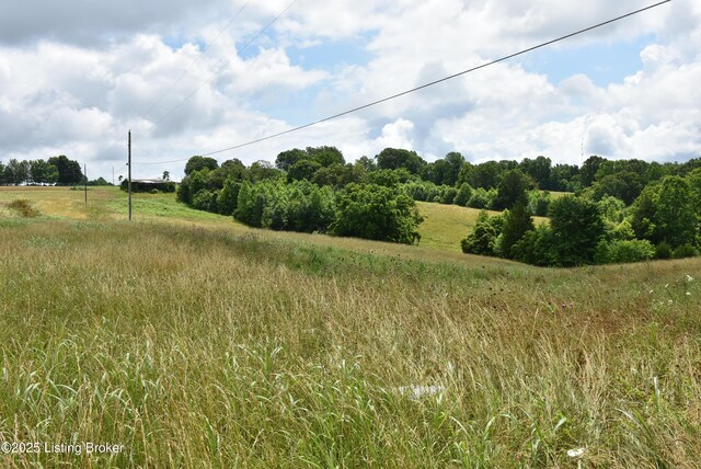 2805 Columbia Rd, Edmonton, KY 42129 - photo 11