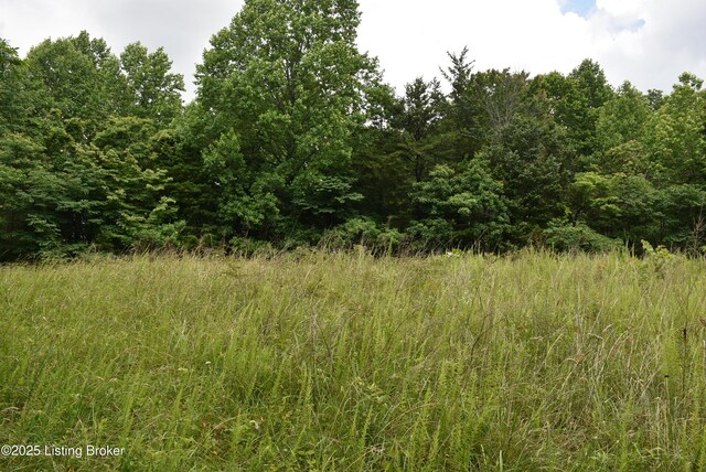 2805 Columbia Rd, Edmonton, KY 42129 - photo 17