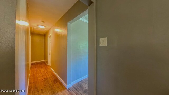 1605 Lou Gene Ave, Louisville, KY 40216 - photo 17