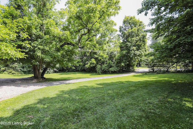 2406 Tucker Station Rd, Louisville, KY 40299 - view of grassy yard