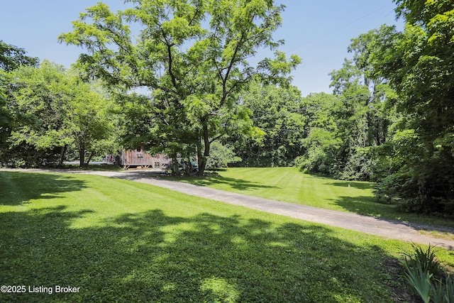 2406 Tucker Station Rd, Louisville, KY 40299 - view of home's community featuring a yard