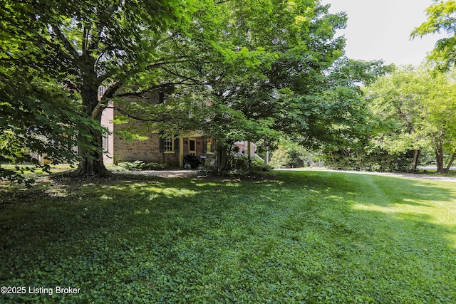 2406 Tucker Station Rd, Louisville, KY 40299 - view of grassy yard