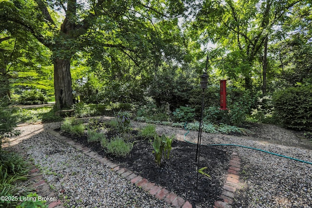 2406 Tucker Station Rd, Louisville, KY 40299 - view of yard