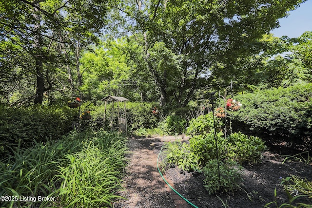 2406 Tucker Station Rd, Louisville, KY 40299 - view of yard