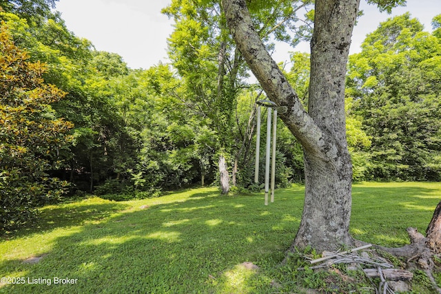 2406 Tucker Station Rd, Louisville, KY 40299 - view of grassy yard