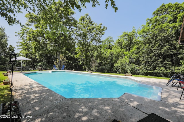2406 Tucker Station Rd, Louisville, KY 40299 - outdoor pool featuring a patio and view of wooded area