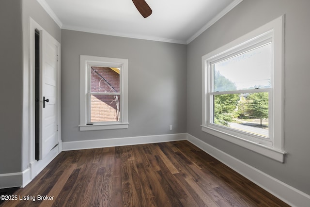 1809 Eastern Pkwy, Louisville, KY 40204 - photo 33