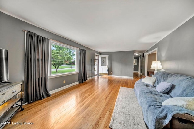 1510 Vivian Ln, Louisville, KY 40205 - photo 8