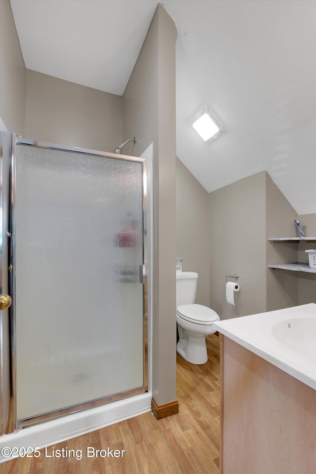 2883 Sweeney Ln, Pleasureville, KY 40057 - bathroom featuring a shower stall, wood finished floors, vanity, and lofted ceiling