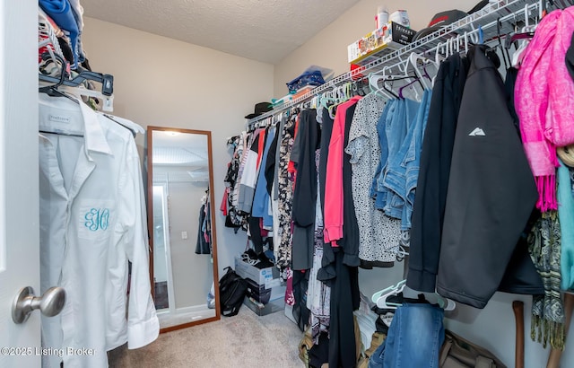 184 Summit Dr, Brandenburg, KY 40108 - photo 26