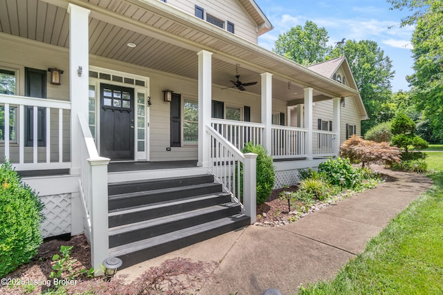 3205 Wildwood Trl, La Grange, KY 40031 - photo 66