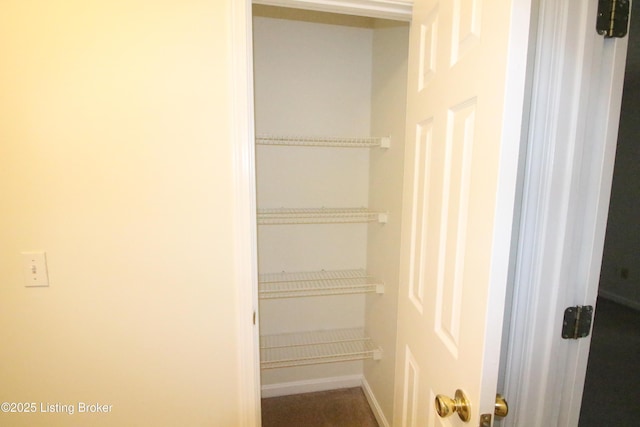 105 Wayne Way, Radcliff, KY 40160 - view of closet