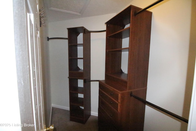 105 Wayne Way, Radcliff, KY 40160 - view of spacious closet