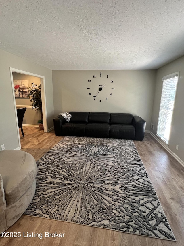 12112 Alpine Way, Goshen, KY 40026 - living area with a textured ceiling and wood finished floors
