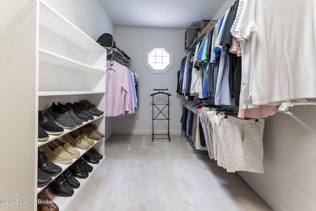 7005 New Bern Ct, Prospect, KY 40059 - spacious closet with carpet