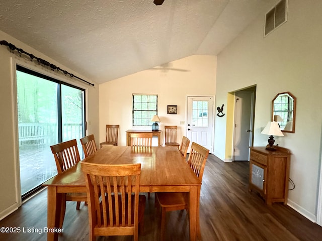 796 Lake Forest Ln, Westview, KY 40178 - dining space with dark wood-type flooring, lofted ceiling, ceiling fan, and a textured ceiling