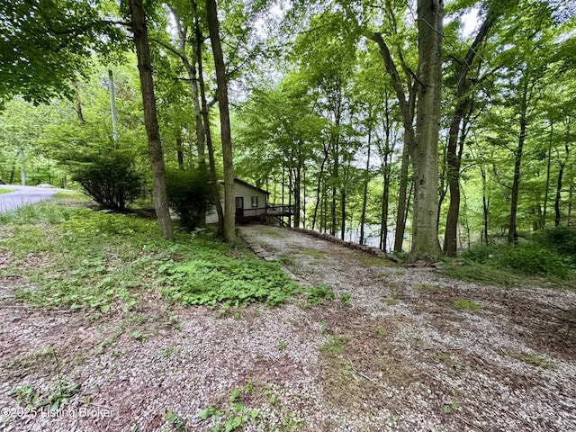 796 Lake Forest Ln, Westview, KY 40178 - view of street featuring a forest view