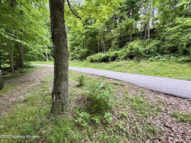 796 Lake Forest Ln, Westview, KY 40178 - view of road with a forest view