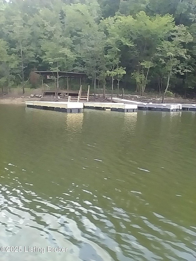 796 Lake Forest Ln, Westview, KY 40178 - photo 7