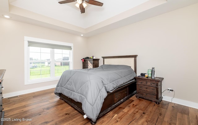 121 Liam Ct, Shepherdsville, KY 40165 - bedroom with a tray ceiling, wood finished floors, recessed lighting, and ceiling fan