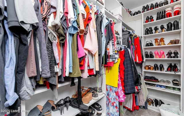 121 Liam Ct, Shepherdsville, KY 40165 - view of walk in closet