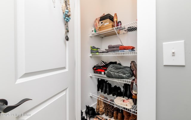 121 Liam Ct, Shepherdsville, KY 40165 - view of closet